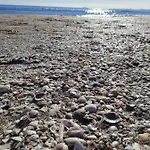 Fivestepstosea - Apartamento Valência