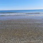 Fivestepstosea -