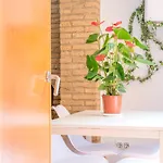 Apartamento Centro Old Town