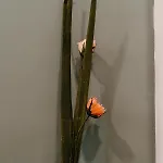 Apartamento La Peregrina