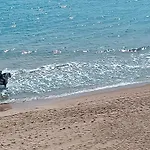 Blue Double Private At Front - En La Playa Piso Compartido Valensiya