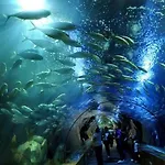 Bed Of The Sea 2* Валенсия