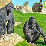 דירה Bioparc Metro ולנסיה