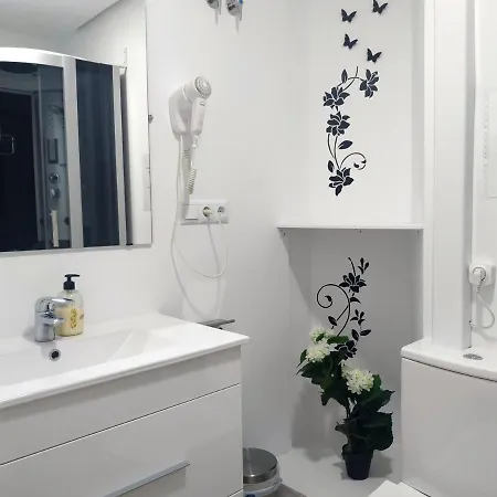 Flats Friends Plaza De La Reina 4*