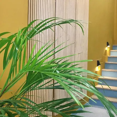Hotel Md Modern - Jardines