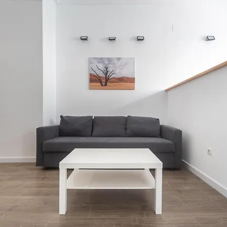 Apartment Exclusivos Lofts En Plaza Del Ayuntamiento