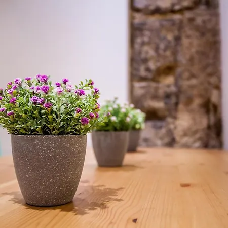 Apartman Lovely Duplex In Old Town *