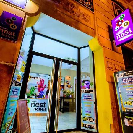 Purple Nest Hostel Valencie