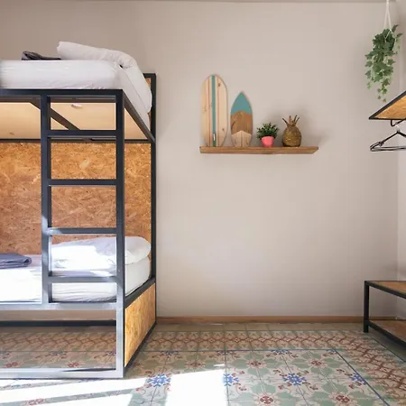 Bird House Валенсия