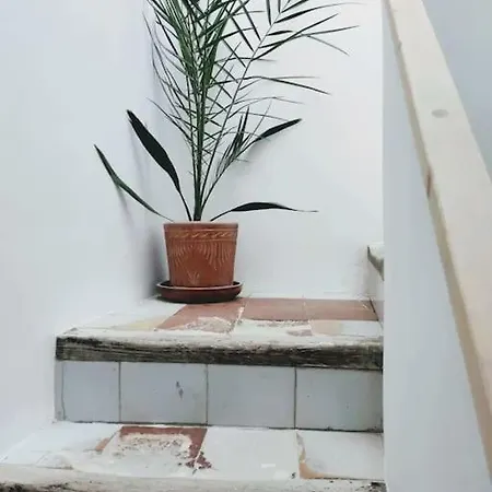 아파트 7p Centrico Piso Con Encanto *