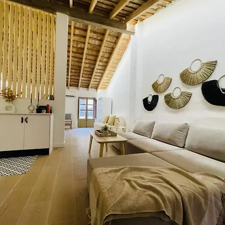 Loft Albufera * Valence
