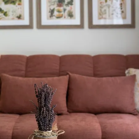 Le Provencal De Coup De Coeur