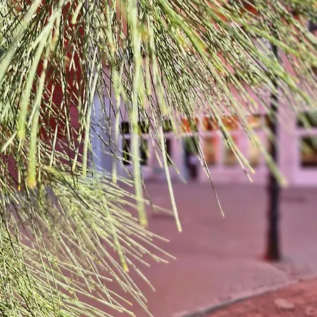 Appartement Lounge Garden Sea Relax Valencia