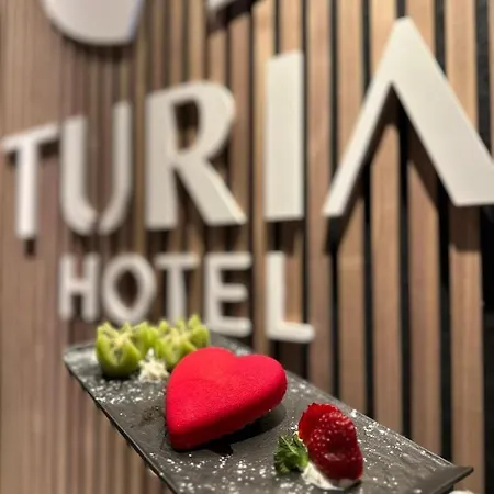 Turia 4* 발렌시아