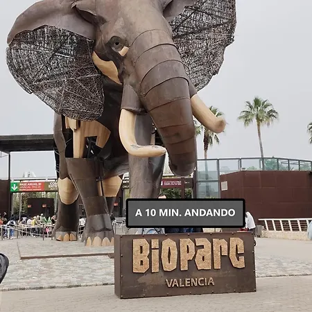 Paul's - No Turistico *