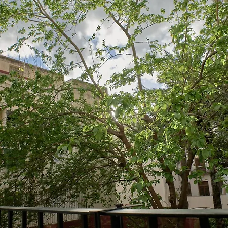 Apartman De Diseno En Plaza Del Carmen F4