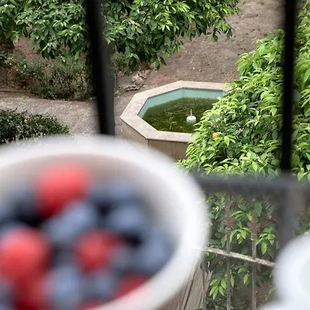 De Diseno En Plaza Del Carmen F4