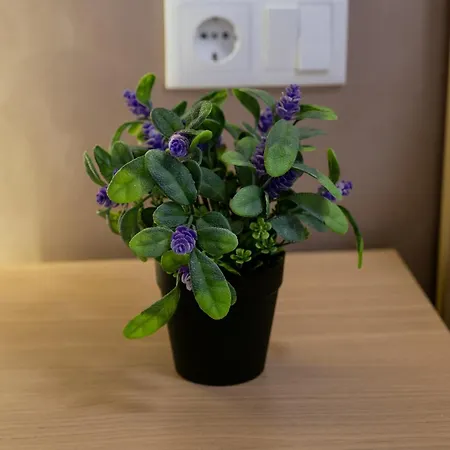 Turistico Lux Center Appartement *