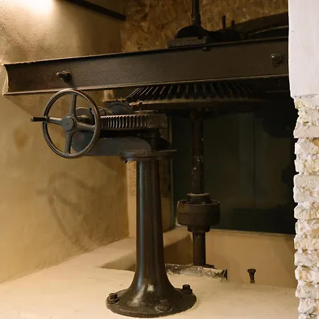 Amazing By The Fair * Valência