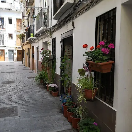 Loft Bajo Vivienda Centro De Valencia-carmen *