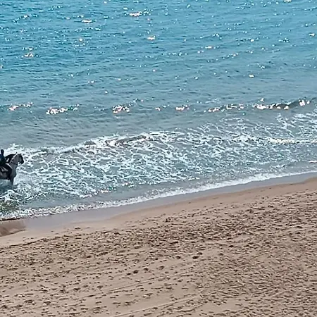 Blue Double Private At Front - En La Playa Piso Compartido Walencja