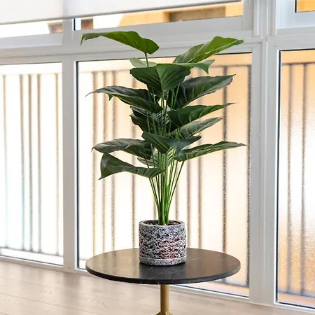 Urbannest * ולנסיה