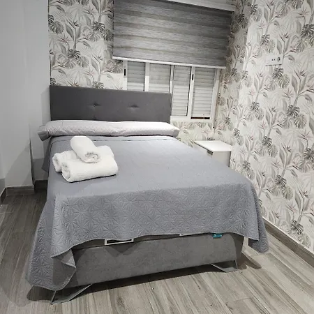 Homestay Confortable Cercaa La Estacion Del Avejoaquin Sorolla