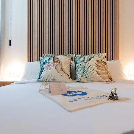 Arena Basic Aparthotel 4*