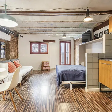 Loft Con Terraza En El Centro *