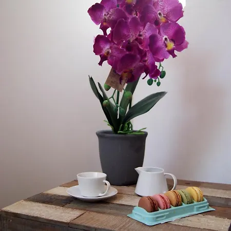 Vlc - Bolseria Apartment *