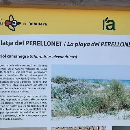 Retreat * Valencia