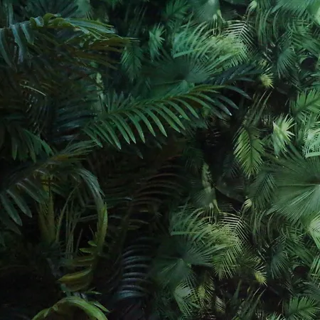 بيت شباب The Pod Village فالنسيا