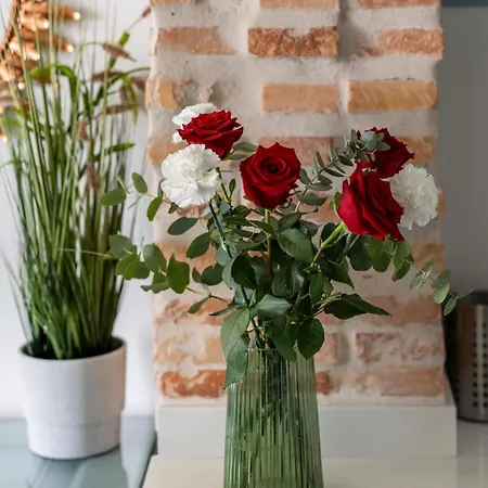 Centrica Y Encantadora Vivienda. * Valência