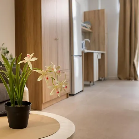 Rm1 - Loft Comodos Estudios Duplex Cerca A La Avenida Del Puerto * 瓦伦西亚
