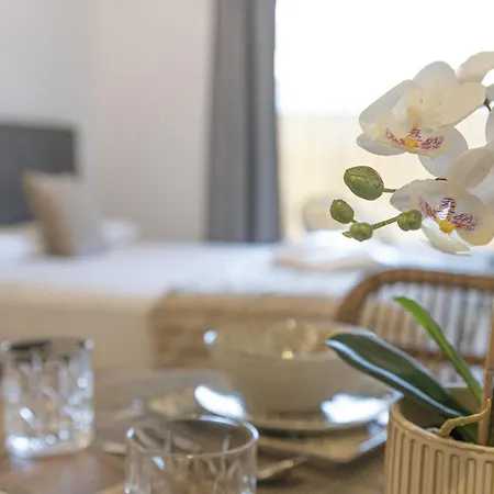 Palx Loft - Estudio Contemporaneo Cerca De Artes Y Ciencias * Valencia