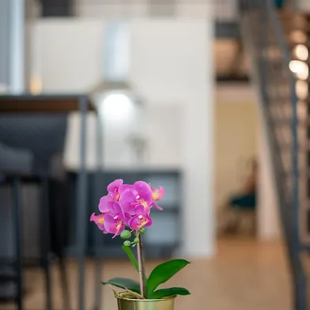 Pv Loft - Modernos Y Comodos Estudios Duplex Cerca A Russafa アパート