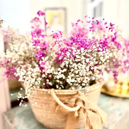 Apartament El Palacete Gran Via *