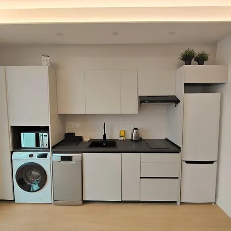 Delfin - Entire - Near And Stadium By Rio Turia Apartment *