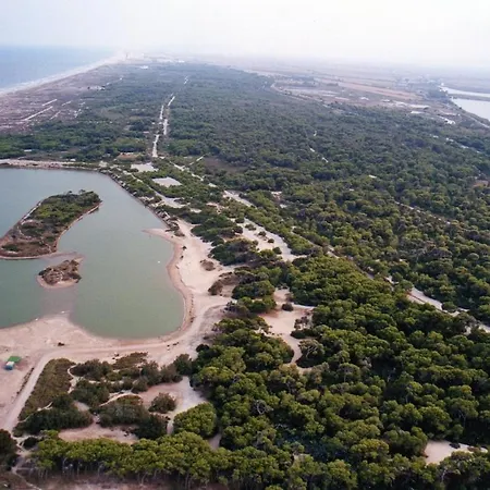 Fantastic Near Apartament Walencja