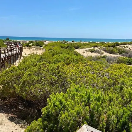 Arenales Del Sol Vista Playa Carabassi San Antonio Daire