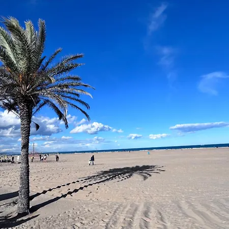 Privada Con Bano Privado I Valencia