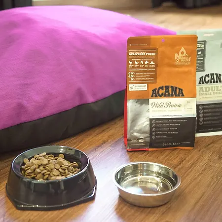 Petit Palace Ruzafa Szálloda 3*