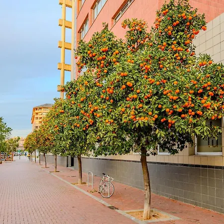 Apartment The Cabanal House - 10 Min To Ocean, Fastwifi, Ac, Coffee Valencia