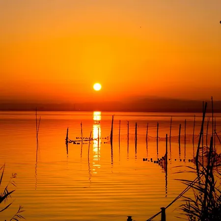 Ross - Flat With The Amenities