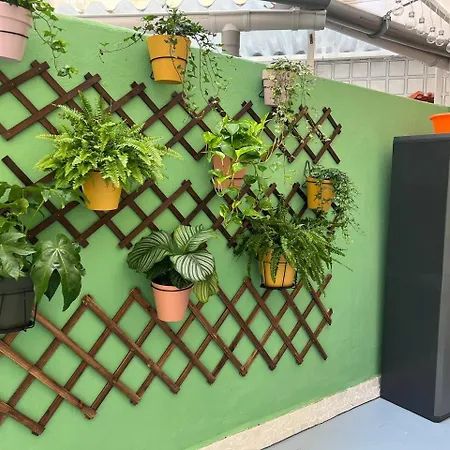 Pearl By The Sea * Valencia