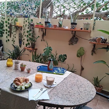 Oasis Epifito Urbano Botanical Wellness Oasis Near Of Arts & Sciencies Privat bolig