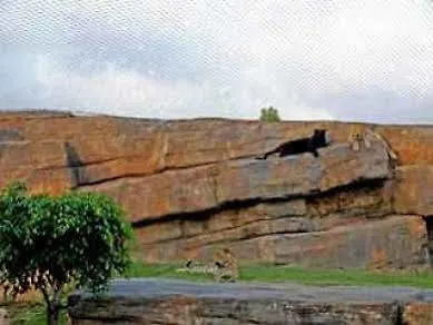 瓦伦西亚住宿加早餐旅馆 2*