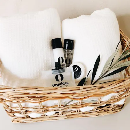 Mom La Punta 3* 瓦伦西亚