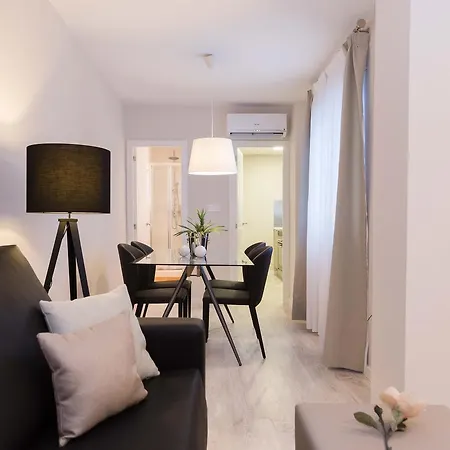 Musico Peydro Apartment Valencia