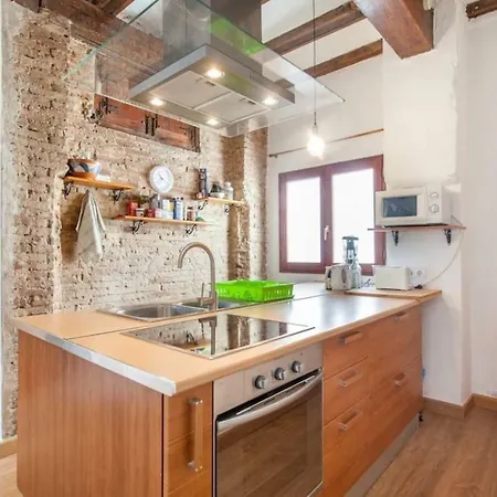 Luminous Attic Down Town Apartman